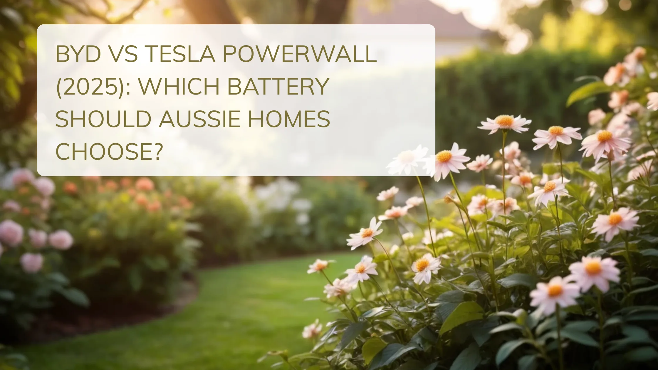 BYD vs Tesla Powerwall (2025): Which Battery Should Aussie Homes Choose?
