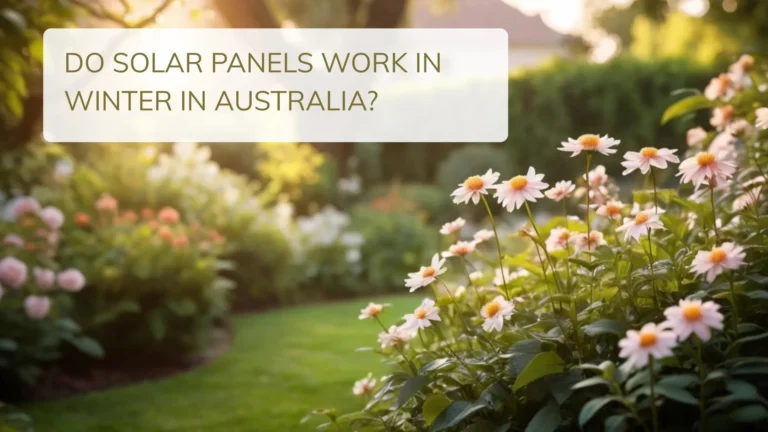 Do Solar Panels Work in Winter in Australia?