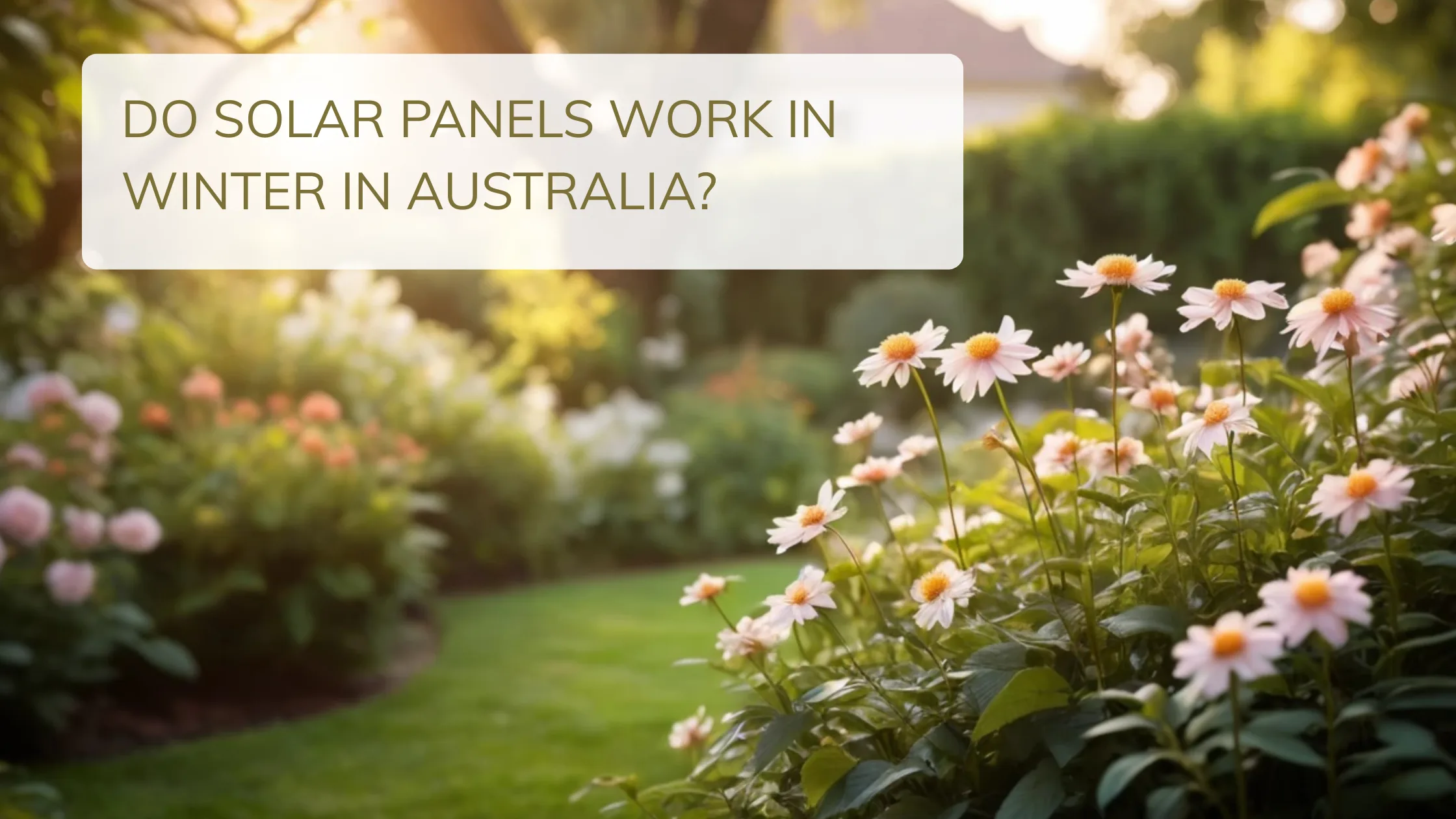 Do Solar Panels Work in Winter in Australia?
