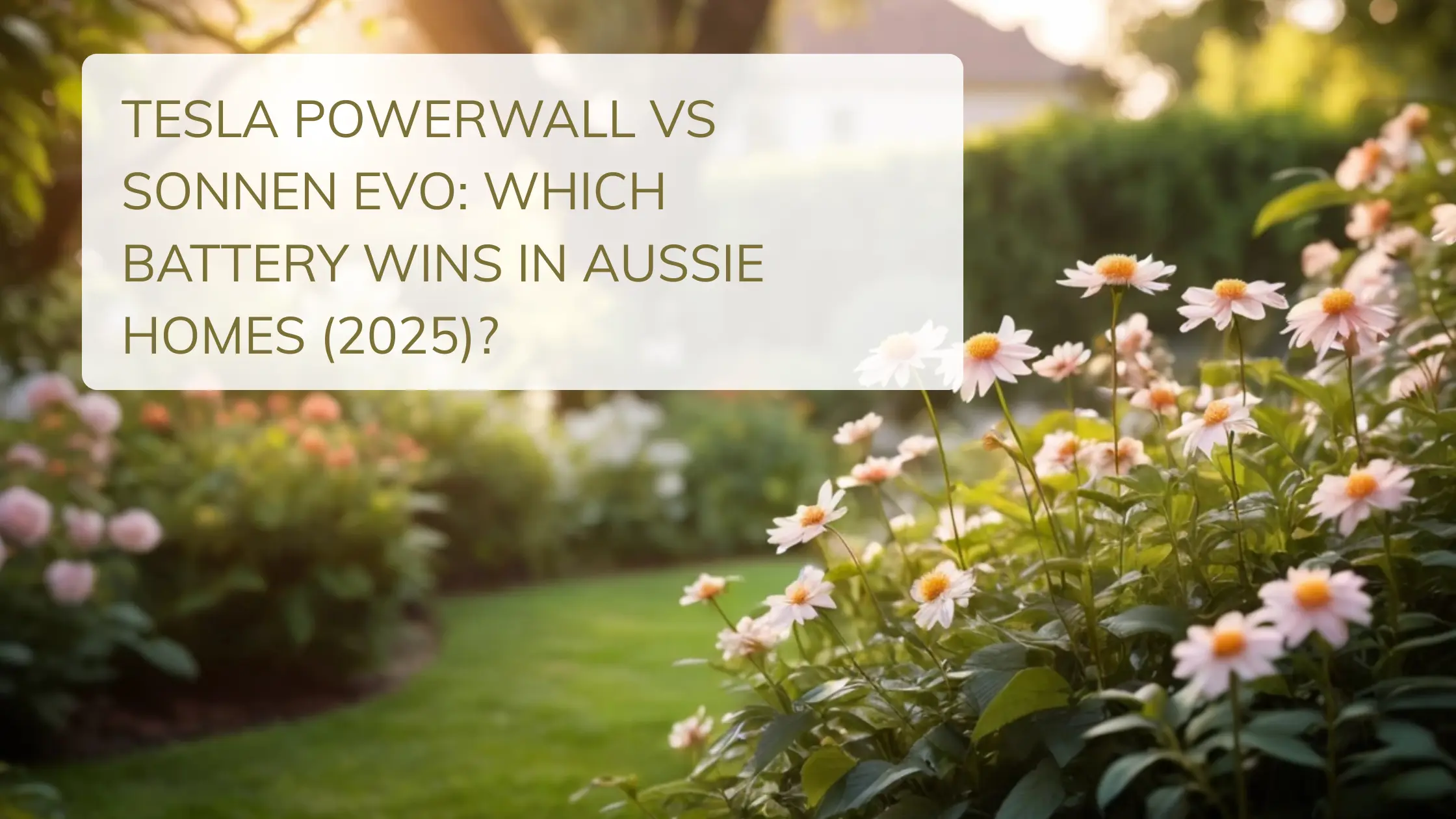 Tesla Powerwall vs Sonnen Evo: Which Battery Wins in Aussie Homes (2025)?
