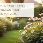 Top Feed-in Tariff Rates by Australian State (Updated for 2025)