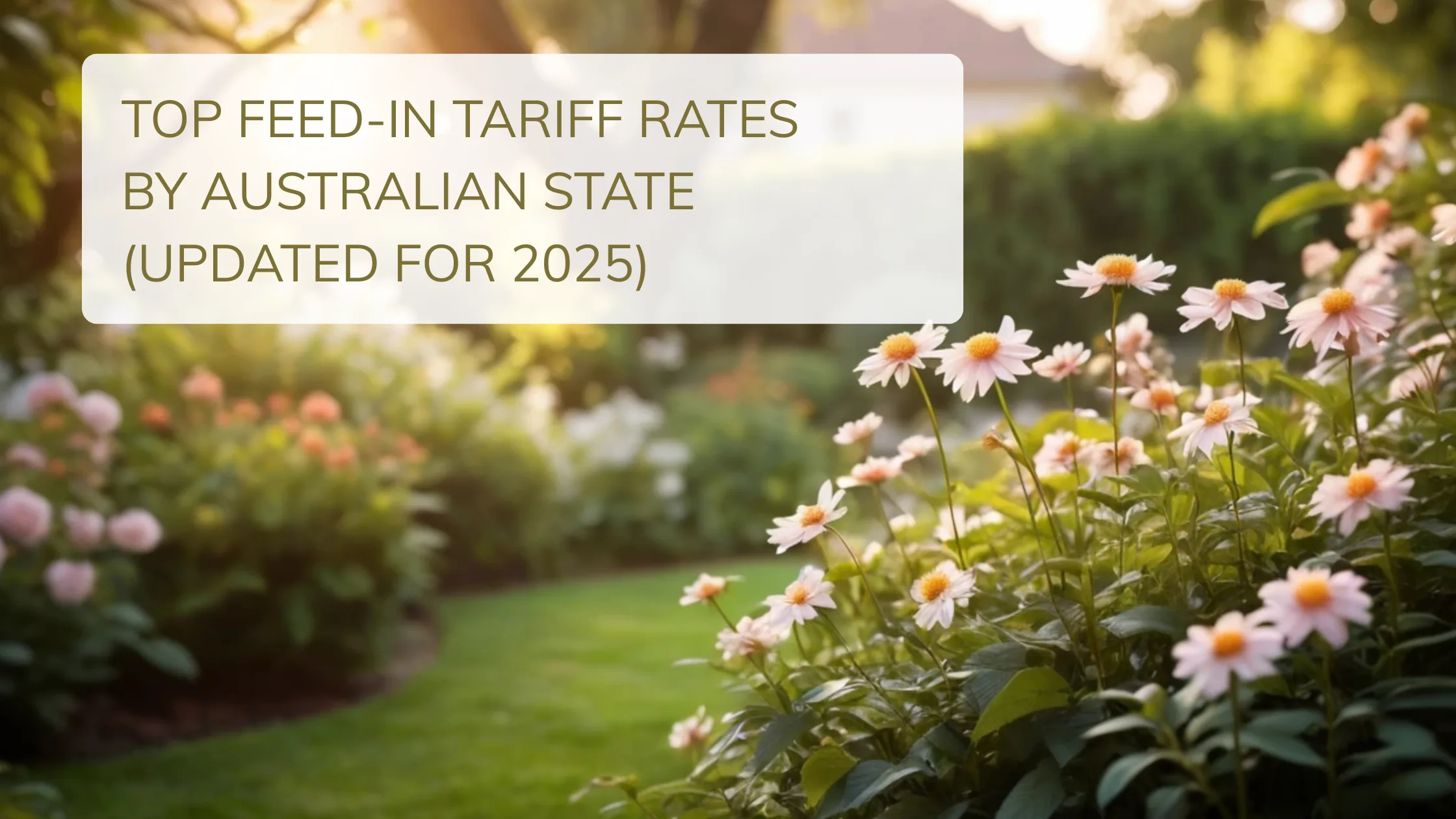 Top Feed-in Tariff Rates by Australian State (Updated for 2025)